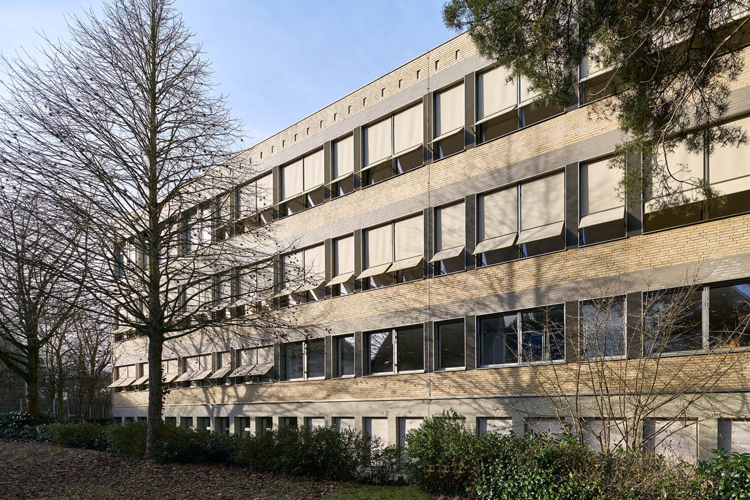 Bild 12 zu Projekt Ceciliengymnasium