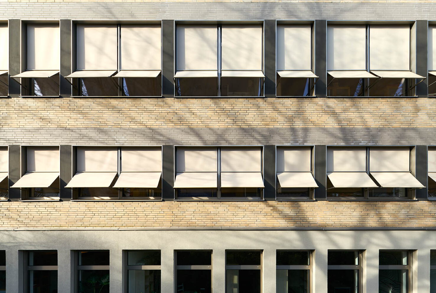 Bild 10 zu Projekt Ceciliengymnasium